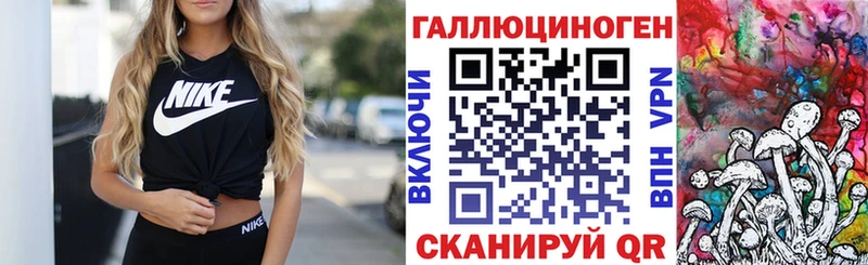 Купить закладки  Катав-Ивановск  Галлюциногенные грибы Cubensis 