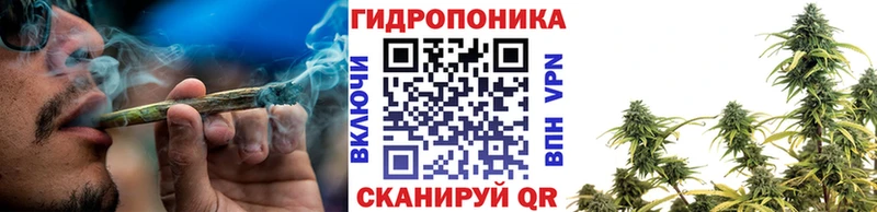 Бошки марихуана Bruce Banner  Купить  Катав-Ивановск 